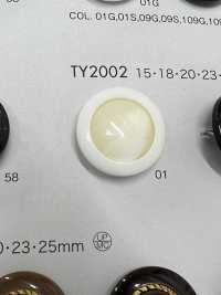 TY2002 Polyester Resin Buttons DAIYA BUTTON(DAIYA BUTTON) Sub Photo