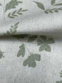 W8081 SEVENBERRY® Oxford Wide Width Harps[Textile / Fabric] VANCET Sub Photo