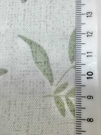 W8081 SEVENBERRY® Oxford Wide Width Harps[Textile / Fabric] VANCET Sub Photo