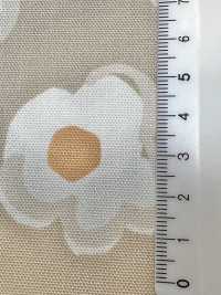 W8082 SEVENBERRY® Oxford Wide Wide Width Dot[Textile / Fabric] VANCET Sub Photo