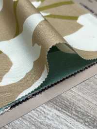 W8084 SEVENBERRY® Oxford Wide Width Lily[Textile / Fabric] VANCET Sub Photo