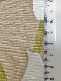 W8084 SEVENBERRY® Oxford Wide Width Lily[Textile / Fabric] VANCET Sub Photo