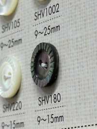 SHV180 2-hole Shell Button DAIYA BUTTON(DAIYA BUTTON) Sub Photo