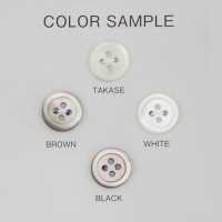 TRV17 4-hole, Bordered Shell Button DAIYA BUTTON(DAIYA BUTTON) Sub Photo