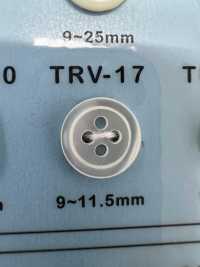 TRV17 4-hole, Bordered Shell Button DAIYA BUTTON(DAIYA BUTTON) Sub Photo