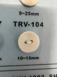 TRV104 2-hole Shell Button DAIYA BUTTON Sub Photo