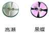 250 Two-hole Rimless Shell Button