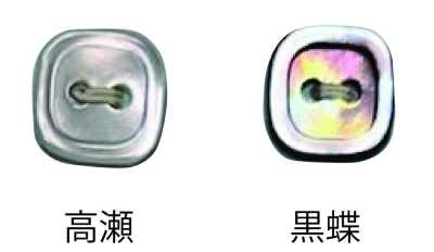 4002H 2-hole Rimmed Shell Button