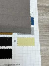 SBKT-12 AZUMADAKI Cotton Viyella[Textile / Fabric] SHIBAYA Sub Photo
