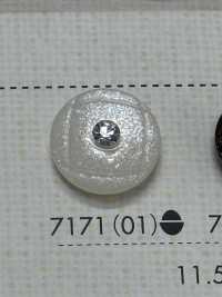 7171 Polyester Resin Buttons DAIYA BUTTON(DAIYA BUTTON) Sub Photo