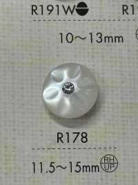 R178 Polyester Resin Buttons DAIYA BUTTON Sub Photo