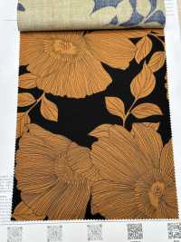 7025-815-4 CR Lawn(Line Daihana)[Textile / Fabric] HOKKOH Sub Photo