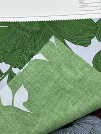 7025-815-4 CR Lawn(Line Daihana)[Textile / Fabric] HOKKOH Sub Photo