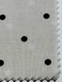 DOT-6000-1 60 Lawn Clear Soft (Small Dots)[Textile / Fabric] HOKKOH Sub Photo