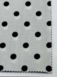 DOT-2000-2 200 Broadcloth[Textile / Fabric] HOKKOH Sub Photo