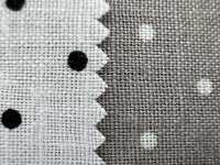 28095 Linen Loomstate Single Thread Dot Print Chintz Finish[Textile / Fabric] SUNWELL Sub Photo