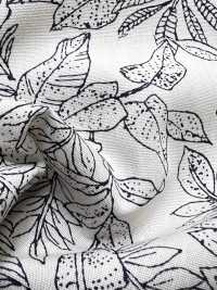 4231 Broadcloth Stylish Relax LEAVES[Textile / Fabric] VANCET Sub Photo