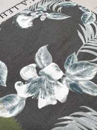 4234 Broadcloth Stylish Relaxation OHI A LEHUA[Textile / Fabric] VANCET Sub Photo