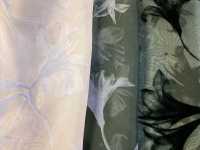 KF4005-DF-3407 Creamy Organdy Gradient Flocking[Textile / Fabric] Uni Textile(Komon Studio) Sub Photo