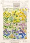 KCP808MW-D6-661 80% Cotton Lawn Miracle Wave Print