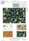 KCP808MW-DK-640 Cotton 80 Lawn Miracle Wave Print