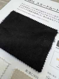 4816 Suede Mouton[Textile / Fabric] PLANETA Sub Photo