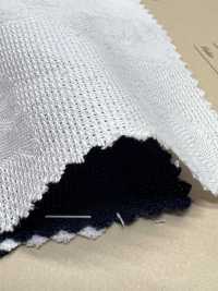 A-1577 Jacquard[Textile / Fabric] ARINOBE Sub Photo