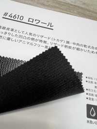 4610 Loire[Textile / Fabric] PLANETA Sub Photo