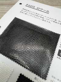 4610 Loire[Textile / Fabric] PLANETA Sub Photo
