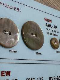 ABL2H 2- Shell Abalone Shell Button DAIYA BUTTON(DAIYA BUTTON) Sub Photo