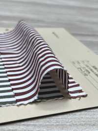 506-9 Cotton Poplin[Textile / Fabric] ARINOBE Sub Photo