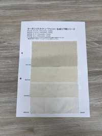 HK2150 Organic Cotton, Washed, Unbleached Canvas[Textile / Fabric] KOYAMA Sub Photo