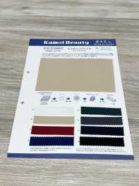 ECF2660 Ecotanso Twill (Antistatic)[Textile / Fabric] Kumoi Beauty Sub Photo