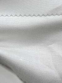 W-T2081 Tencel™ Lyocell Fiber / Linen Twill[Textile / Fabric] TIPICO (Kuwamura Textile) Sub Photo