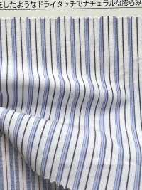 OGN-1015ST Superior Organic Typewritter Cloth Stripes[Textile / Fabric] TIPICO (Kuwamura Textile) Sub Photo