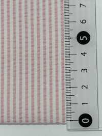 SL3000 [Textile / Fabric] Tamura Koma Sub Photo
