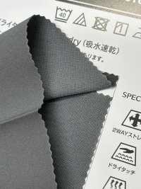 SL67072 Solotex® × Calcuro®[Textile / Fabric] Tamura Koma Sub Photo