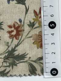 7025-1700-1 CL Loomstate[Textile / Fabric] HOKKOH Sub Photo