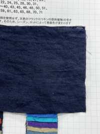 AZUMADAKI-3 Linen AZUMADAKI Processing[Textile / Fabric] Sub Photo