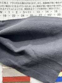 AZUMADAKI-12 Cotton Viyella AZUMADAKI Processing[Textile / Fabric] Komatsuwa Textile Sub Photo