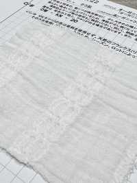 AZUMADAKI-122 Organic Cotton, East-cooked Processing[Textile / Fabric] Komatsuwa Textile Sub Photo