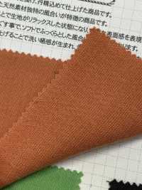 SBW3800 Twill Double-face Vintage Finish[Textile / Fabric] SHIBAYA Sub Photo