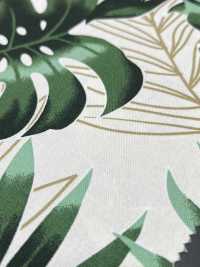 KWOXPT-002 Botanical[Textile / Fabric] KOWA Sub Photo