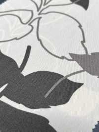 KWOXPT-005 Feuille[Textile / Fabric] KOWA Sub Photo