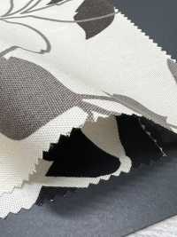 KWOXPT-005 Feuille[Textile / Fabric] KOWA Sub Photo