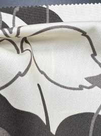 KWOXPT-005 Feuille[Textile / Fabric] KOWA Sub Photo