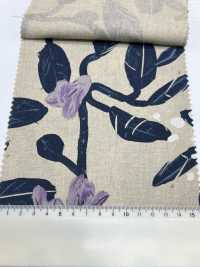 7025-1700-3 CL Loomstate[Textile / Fabric] HOKKOH Sub Photo