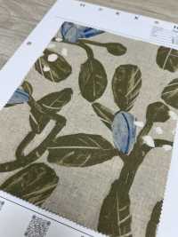 7025-1700-3 CL Loomstate[Textile / Fabric] HOKKOH Sub Photo