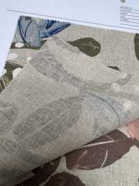 7025-1700-3 CL Loomstate[Textile / Fabric] HOKKOH Sub Photo