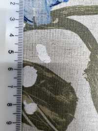 7025-1700-3 CL Loomstate[Textile / Fabric] HOKKOH Sub Photo
